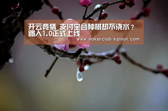 开云竞猜_支付宝合种树却不浇水?踢人1.0正式上线(图2) 开云电竞