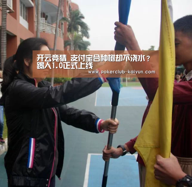 开云竞猜_支付宝合种树却不浇水？踢人1.0正式上线