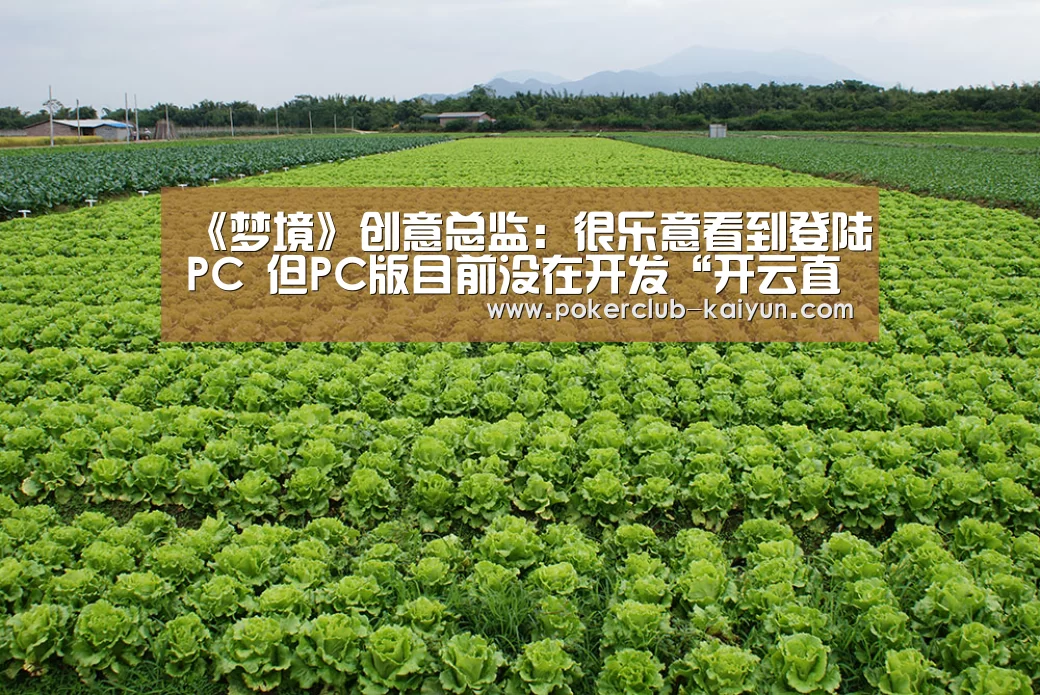 《梦境》创意总监:很乐意看到登陆PC 但PC版目前没在开发“开云直播”(图3) 开云赛事