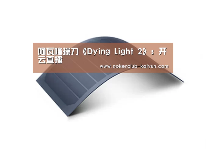 阿瓦隆操刀《Dying Light 2》：开云直播