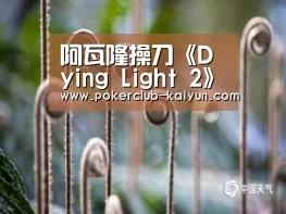 阿瓦隆操刀《Dying Light 2》:开云直播(图4) 开云竞猜