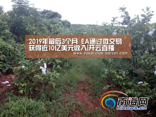 2019年最后3个月 EA通过微交易获得近10亿美元收入|开云直播