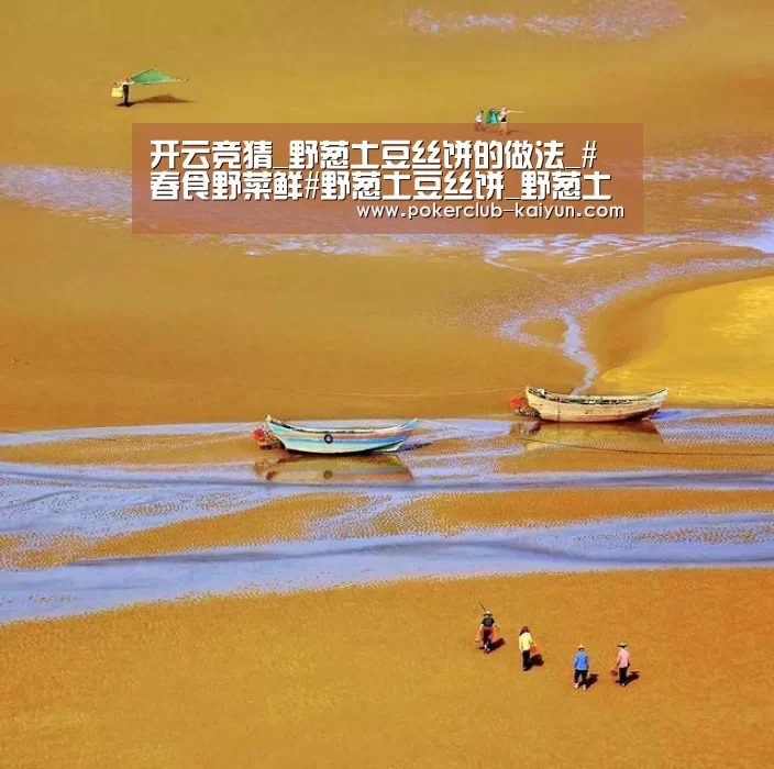 开云竞猜_野葱土豆丝饼的做法_#春食野菜鲜#野葱土豆丝饼_野葱土豆丝饼怎么做_墨兰清香的菜谱(图3) 开云电竞